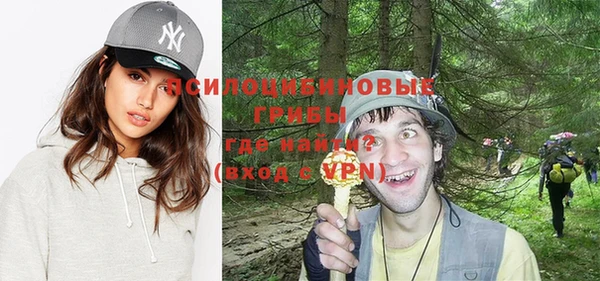 дмт Майский