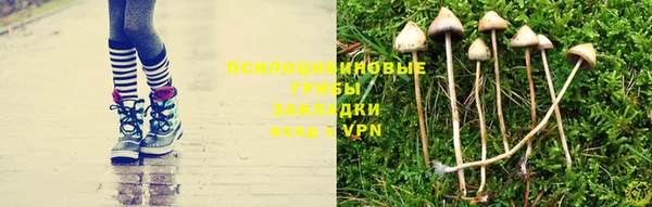 спиды Магадан