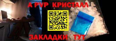 прущие грибы Абакан