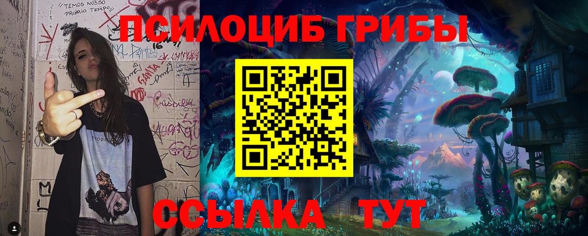 Псилоцибиновые грибы мухоморы  Вход с VPN  Абинск 
