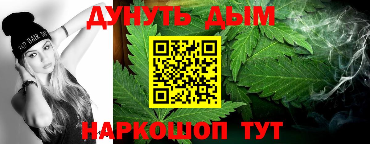 Конопля план  Шишки марихуана OG Kush  Абинск  Шишки марихуана SATIVA & INDICA 
